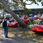 HB_Concours_0029 (June 07, 2015)